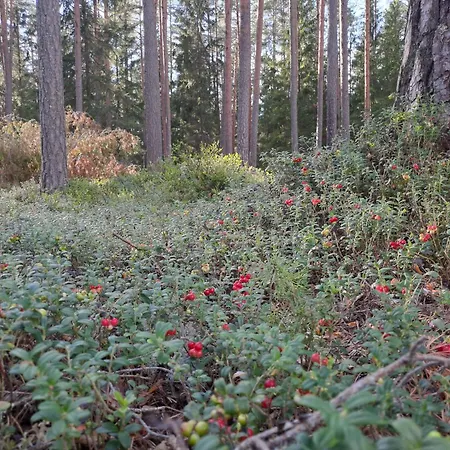 Landhuis Kooti Ait *