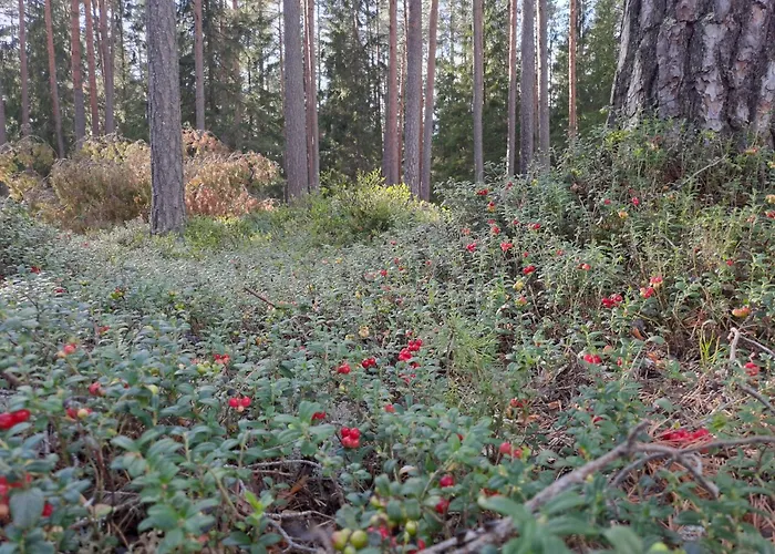 Landhuis Kooti Ait *